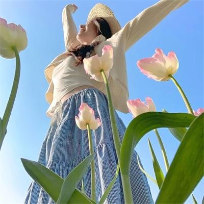 蝉翼传奇